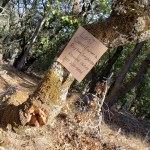 Annadel Disturbances of&nbsp;Humans