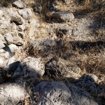 B 20201108 Fireline&nbsp;Gully