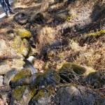 B 20201114 Fire Line&nbsp;Gully