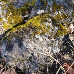 B 20201114 Fire Line&nbsp;Rock