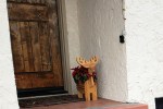 Doorstep Deer &&nbsp;Poinsettias
