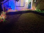 Hedge Lights &&nbsp;Wreath