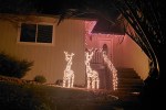Lit Deer & Porch Accent&nbsp;Lights