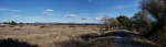 Mt St Helena & Autumn Fields&nbsp;pano