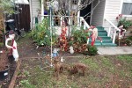 Scarecrows Reindeer & A&nbsp;Tree