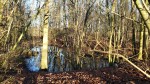 20211225 Nederhemert Woods