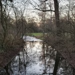 20211226 Vondel Heron&nbsp;1